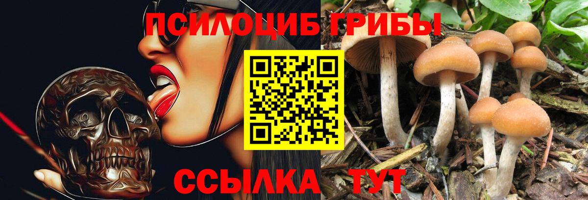 Галлюциногенные грибы Magic Shrooms  Вход с VPN  Кириши  Псилоцибиновые грибы Psilocybe 
