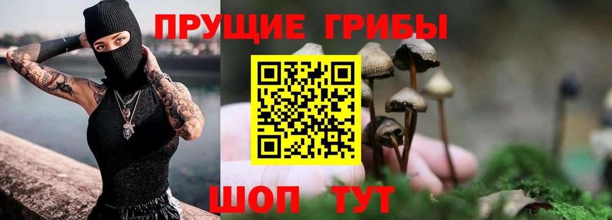 Псилоцибиновые грибы GOLDEN TEACHER Кириши